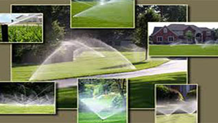 irrigation